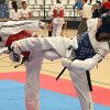 El taekwondo, una de las opciones con más proyección para los jovenes en l’Olleria