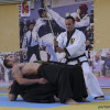 L’Escola Municipal de Taekwondo prepara festival fi de curs