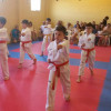El taekwondo de l’Olleria examina a sus alumnos