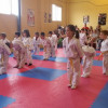 Los alumnos de la EEM Taekwondo, se examinan de grado.