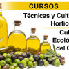 Cursos de cultivo ecológico del olivar y técnicas y cultivo hortícolas