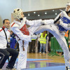 Triunfo de las Escuelas Deportivas M. de Taekwondo de L’Olleria