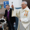 Sant Antoni 2013 (la benedicció) en imatges