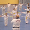 El Taekwondo considerat un dels esports més complets