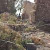 L’Ajuntament de l’Olleria tala uns pins que estaven perjudicant l’Ermita de Sant Cristòfol