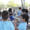 Prop de 200 escolars participen en una jornada de convivència en el Rodat.