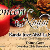 Teatre Goya:  Banda Jove AEM La Nova Concert de Nadal