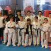 EEM Taekwondo l’Olleria:  Entrenamiento interclubs en Alicante