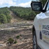 Las brigadas forestales de Diputació retoman las tareas de vigilancia para prevenir incendios forestales