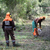 Las brigadas forestales de la Diputació retoman sus trabajos de silvicultura para prevenir incendios