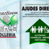 Programa de Ayudas Directas a la actividad comercial, de servicios y de hostelería