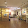 El Museu del Vidre, oferirà demostracions de vidre bufat als visitants