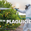 Curso de plaguicidas y uso de productos fitosanitarios