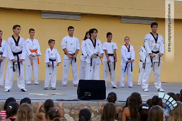 taekwondoinicio