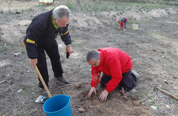 dia del arbol año pasado