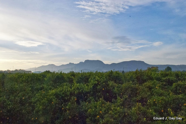 pater20121125 rutes terme024