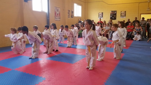 taekwondo_olleria_003