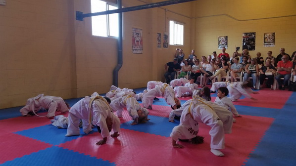 taekwondo_olleria_005