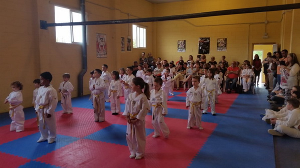 taekwondo_olleria_006