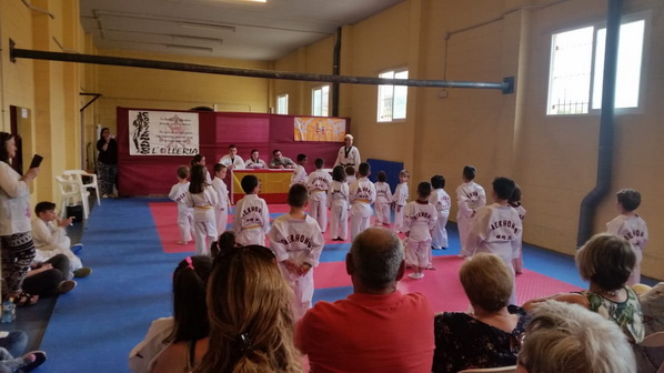 taekwondo_olleria_007